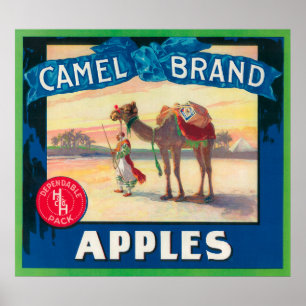 Camel Apple Label - Washington State Poster