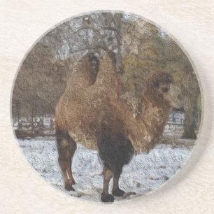 Camel Art  Sandstone Coaster