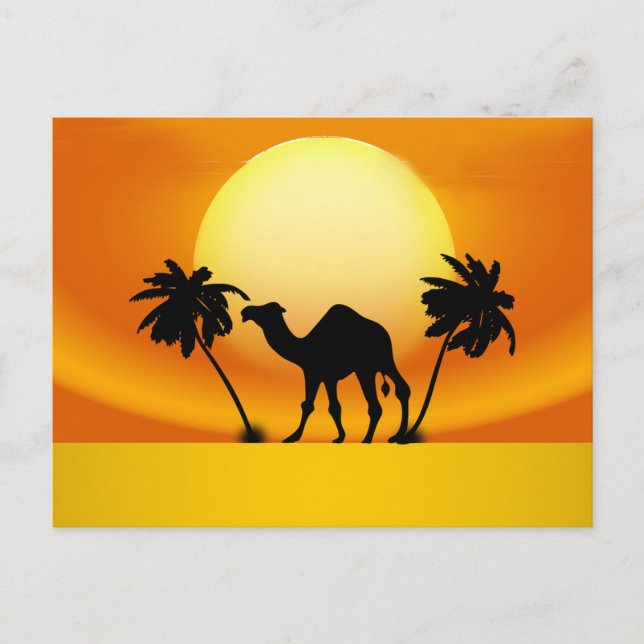 Camel at Sunset Postcard (Front)