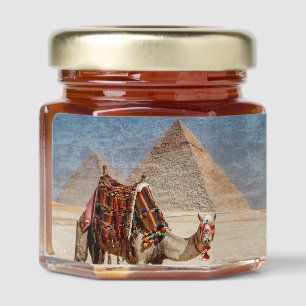 Camel at the pyramids Honey Jar Favors