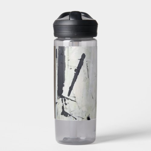 camel back eddie water bottle