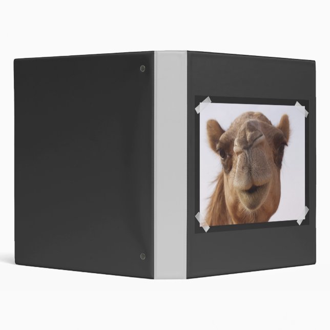 Camel Binder (Background)