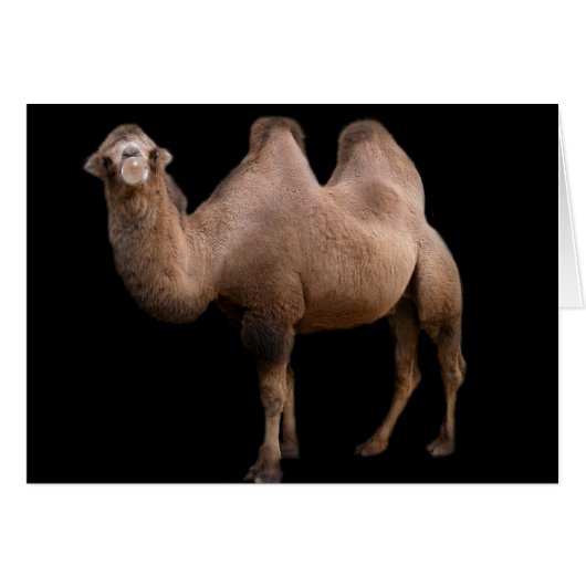 Camel Bubble Cards (Front Horizontal)
