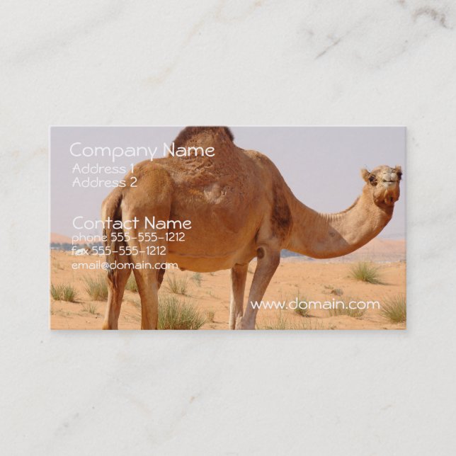 Camel Business Card (Front)
