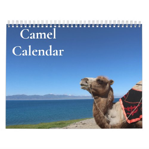 Camel Calendar 2024