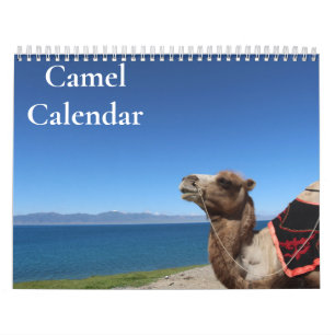 Camel Calendar 2026