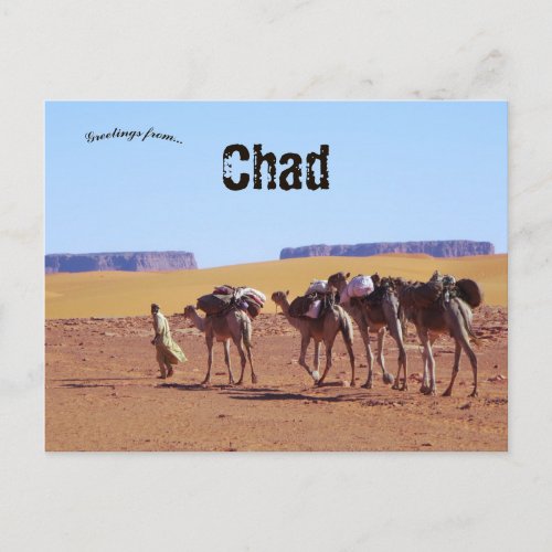 Camel Caravan Leaving the Village of Demi in Chad Postcard