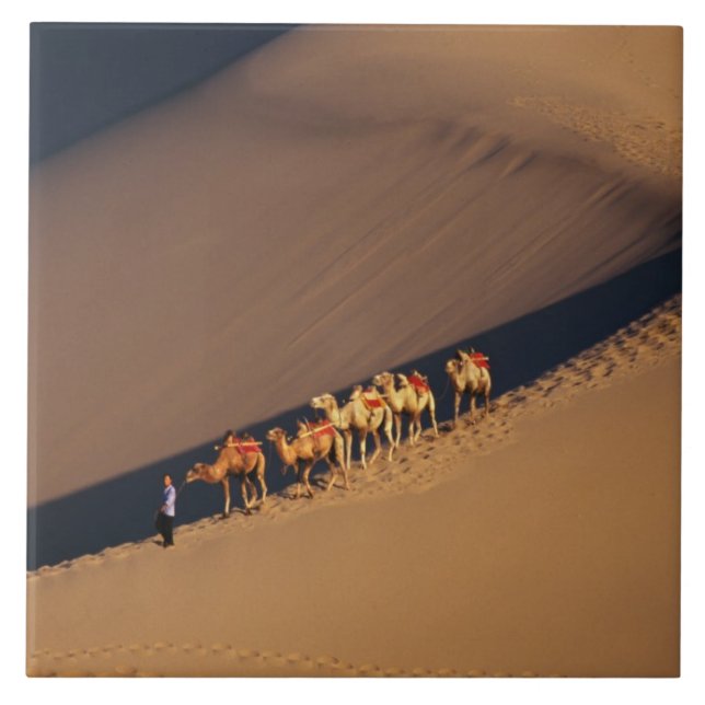 Camel caravan on the desert, Dunhuang, Gansu Tile (Front)