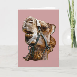 Camel Card