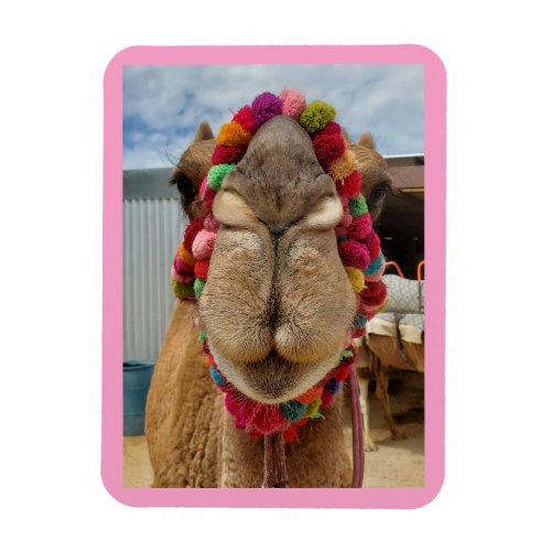 Camel Cuteness Pink Magnet
