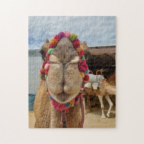 Camel Cuteness Puzzle