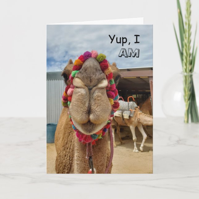 Camel Cuteness Thinking About You Card (Front)
