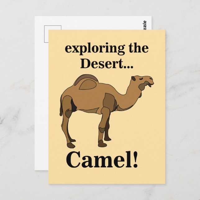 Camel Desert Animal Funny Postcard (Front/Back)