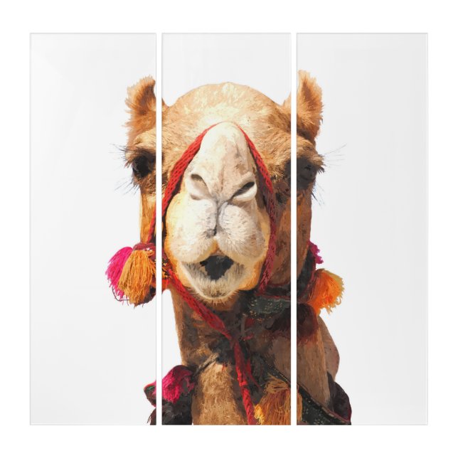 Camel desert animal portrait triptych (Front)