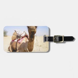 Camel Desert Middle East Peace Love Nature Destiny Luggage Tag