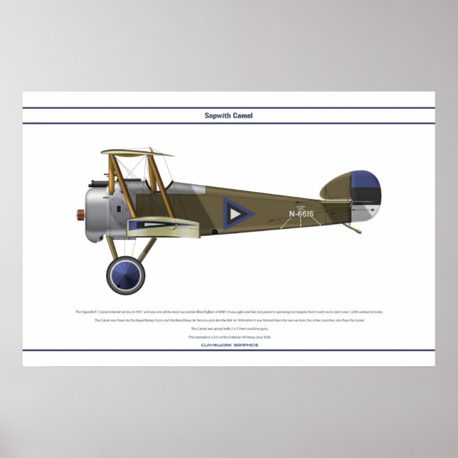 Camel Estonia Poster (Front)