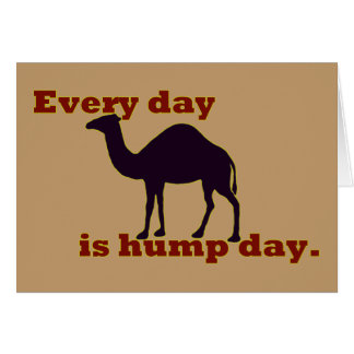 Camel "Every Day is Hump Day" Cards