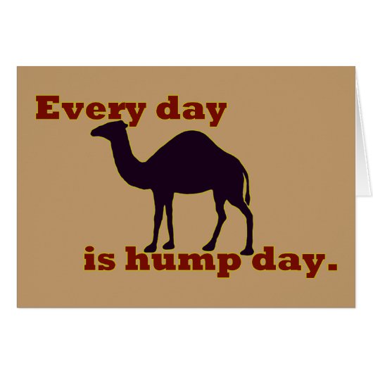Camel "Every Day is Hump Day" Cards (Front Horizontal)