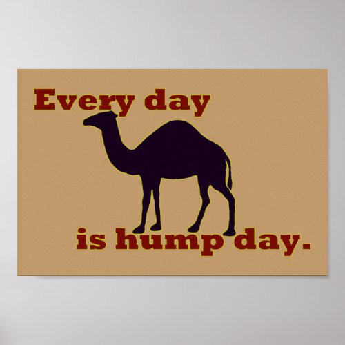 Camel Every Day is Hump Day Poster