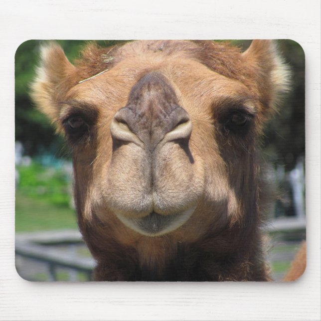 Camel Face Mouse Pad (Front)
