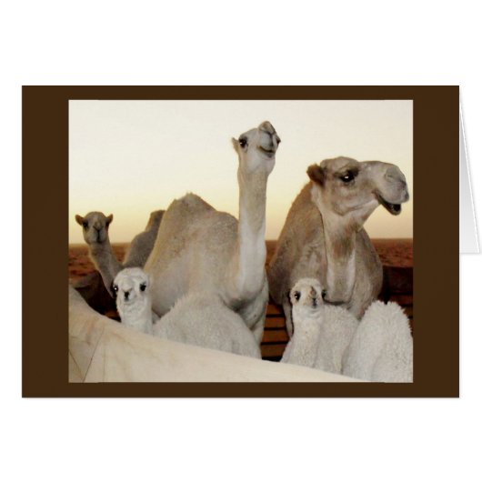 Camel Family Cards (Front Horizontal)