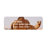 Camel for Arabs Return Address Label