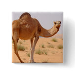 Camel for Arabs Square Pin