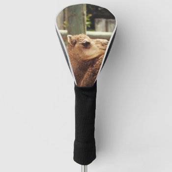 Camel Golf Head Cover by CustomizeYourWorld at Zazzle