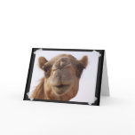 Camel Greeting Card