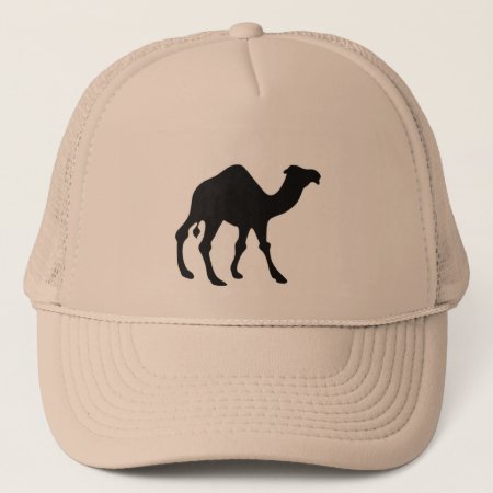 Camel Hat