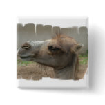 Camel Head  Button