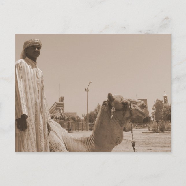 Camel herder postcard (Front)