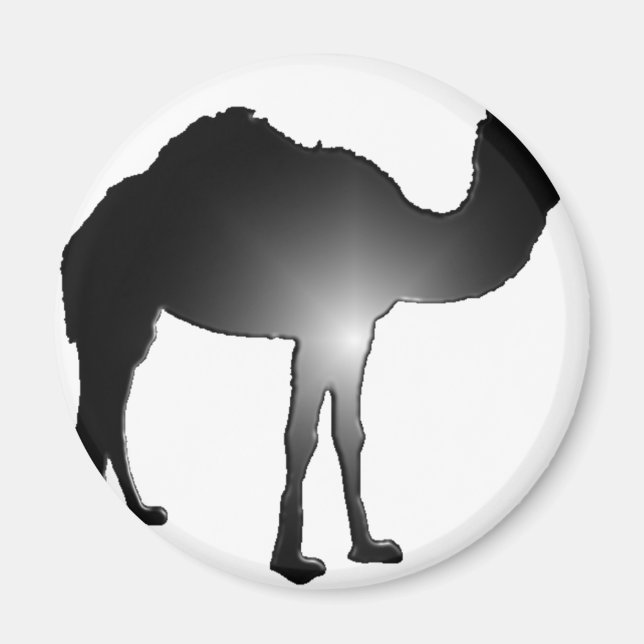 Camel illusion magnet (Front)