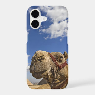 Camel in front of the pyramids of Giza, Egypt, iPhone 17 Case