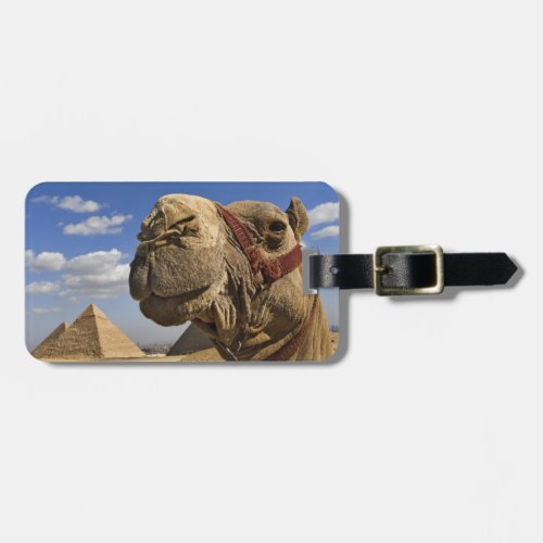 Camel in front of the pyramids of Giza Egypt Luggage Tag