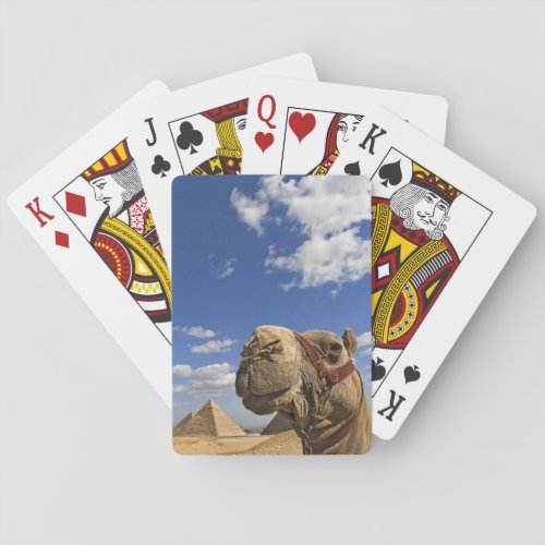 Camel in front of the pyramids of Giza Egypt Poker Cards