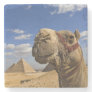 Camel in front of the pyramids of Giza, Egypt, Stone Coaster