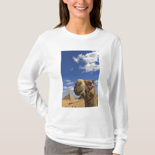 Camel in front of the pyramids of Giza, Egypt, T-Shirt