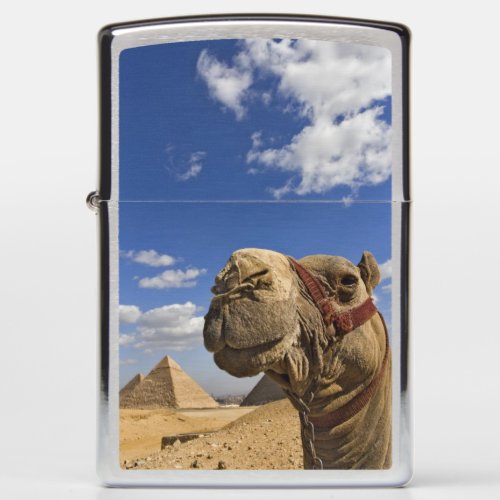 Camel in front of the pyramids of Giza Egypt Zippo Lighter