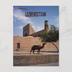 Camel in Khiva Uzbekistan Postcard