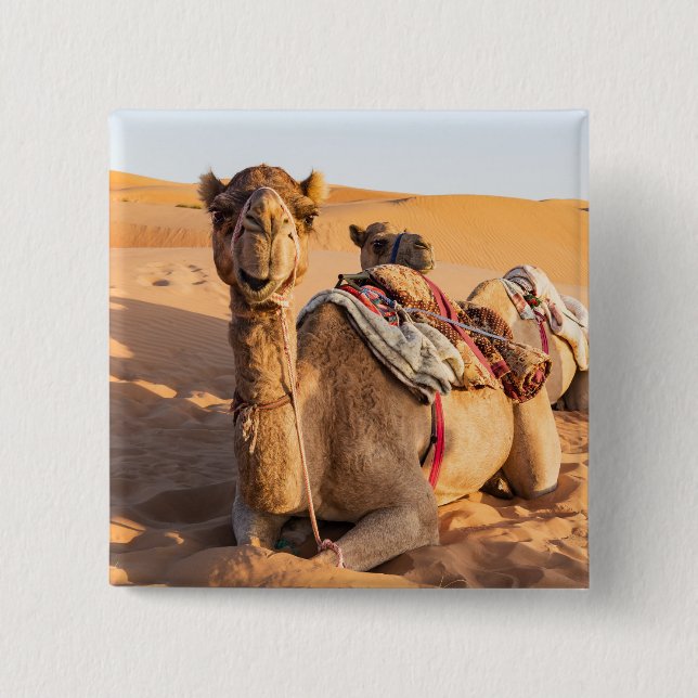 Camel in Oman desert Button (Front)