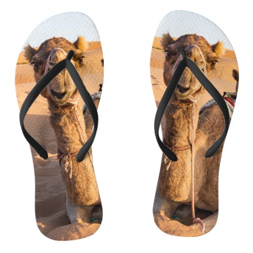 Camel in Oman desert Flip Flops