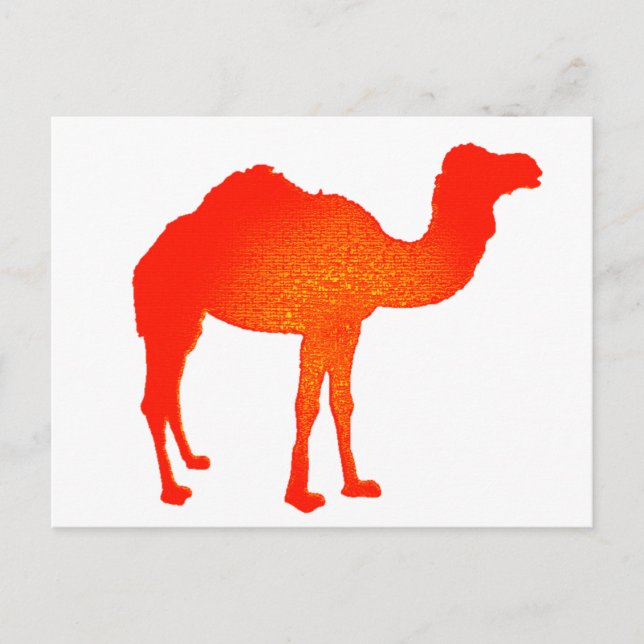 Camel in Red Postcard (Front)