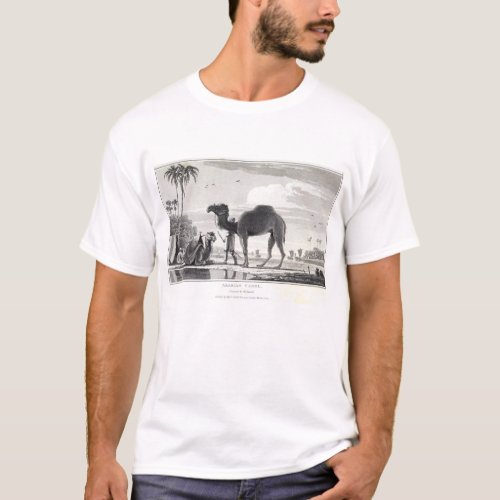 Camel in the Oasis Vintage Etching Morocco Tunisia T_Shirt