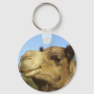 Camel Keychain