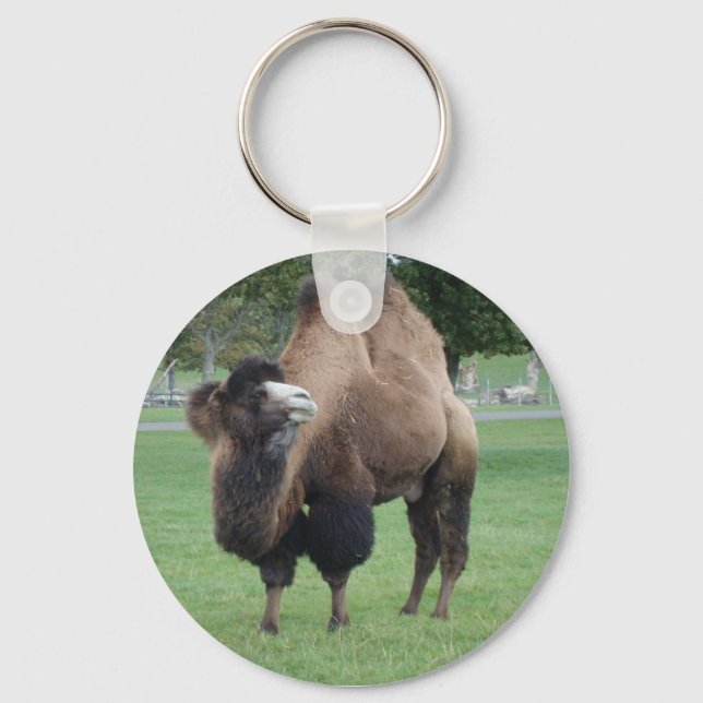 camel keychain (Front)