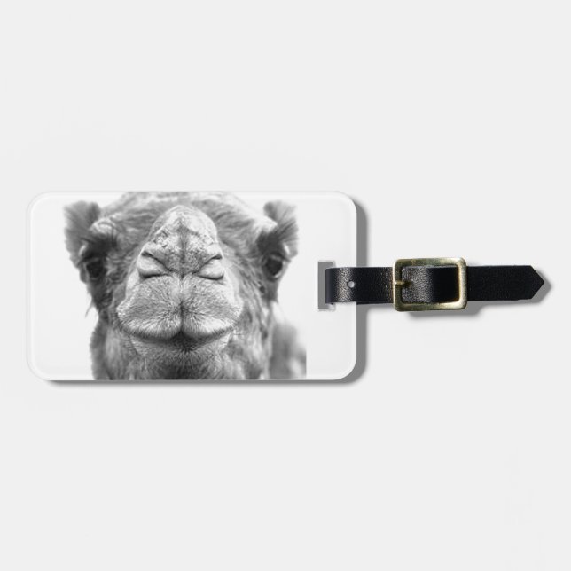 Camel Kisses Fun Closeup Photo Luggage Tag (Front Horizontal)