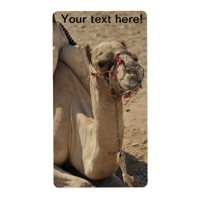 Camel Label (Front)
