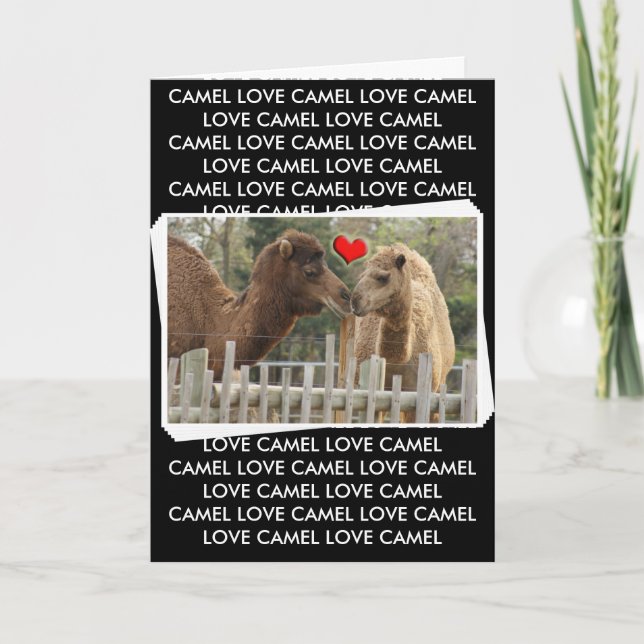 Camel LOVE - NO BOUNDARIES Card (Front)