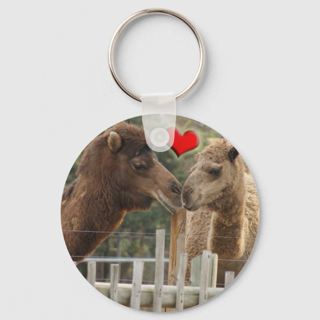 Camel LOVE - NO BOUNDARIES Keychain (Front)